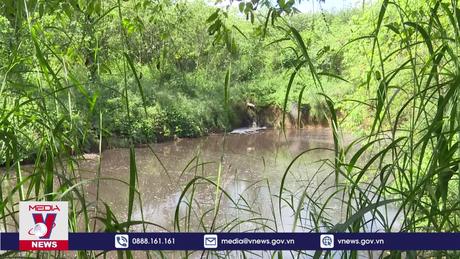 Kon Tum xử phạt chủ trại lợn gây ô nhiễm