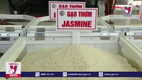 Gạo Việt Nam được thị trường châu Âu đón nhận 