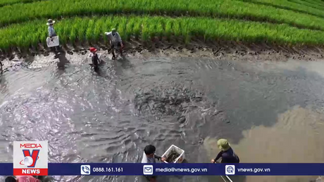 Sản xuất OCOP gắn với bảo vệ môi trường