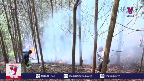 Tuyên Quang có 23 xã nguy cơ cao xảy ra cháy rừng