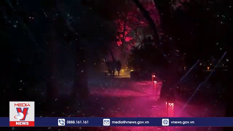 Triển lãm sắp đặt các vì sao 