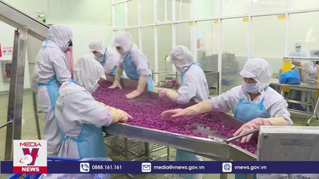 Xuất khẩu rau quả sẽ cán đích 5,5 tỷ USD