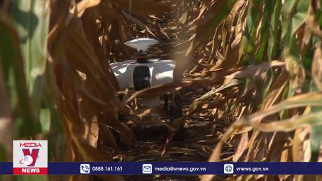 An ninh lương thực - Mặt trái của xa hội dư thừa