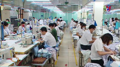 Nhật trình kinh tế ngày 23/11/2023