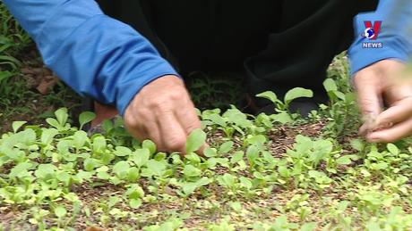 Trợ giúp pháp lý cho người yếu thế trong tranh chấp đất đai