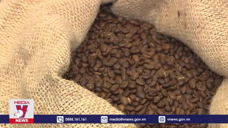 Doanh nghiệp Bỉ thay thế “Thứ Sáu Đen” bằng “Thứ Sáu Xanh”