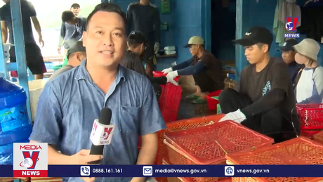 Ổn định đầu ra, nâng cao giá trị tôm hùm 