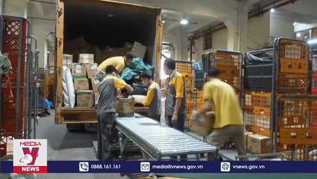 Xanh hóa để phát triển bền vững ngành Thương mại điện tử