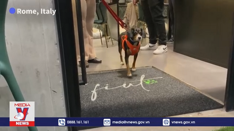 Nhà hàng phục vụ thú cưng đầu tiên tại Italy