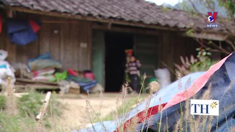 Phim tài liệu: Mặt trời mọc trên những ngọn đồi cao