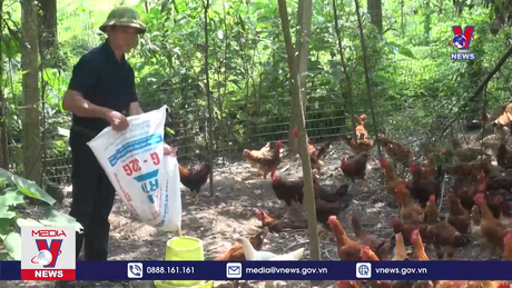 Bản tin thời sự 21h ngày 26/11/2023