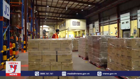 Bình Dương thu hút vốn FDI vào tăng trưởng xanh