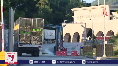 Xuất khẩu nông sản chỉ còn một tháng để về đích