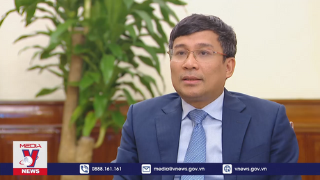 Thúc đẩy hợp tác toàn diện Việt Nam – Nhật Bản