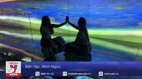 Triển lãm thiên nhiên qua những tấm gương tại Brazil