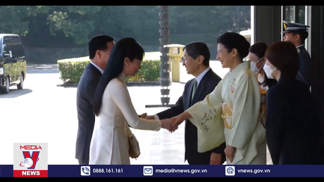 Chủ tịch nước Võ Văn Thưởng hội kiến Nhà vua Nhật Bản