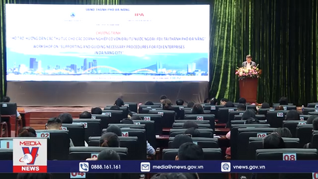Đà Nẵng hỗ trợ thủ tục đầu tư cho doanh nghiệp FDI