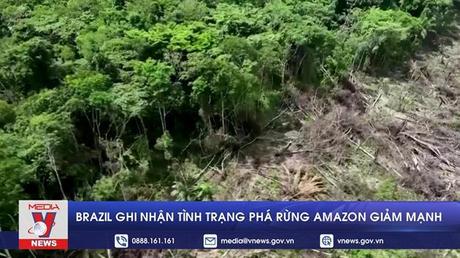 Brazil ghi nhận tình trạng phá rừng Amazon giảm mạnh