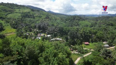 Hành trình Việt số 368: Tà Vạt- Thức uống “trời cho” của đồng bào trên dãy Trường Sơn