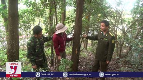 Di tích quốc gia đặc biệt cảnh báo cháy rừng cấp 5