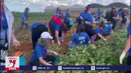 Israel tạo điều kiện cho lao động nước ngoài