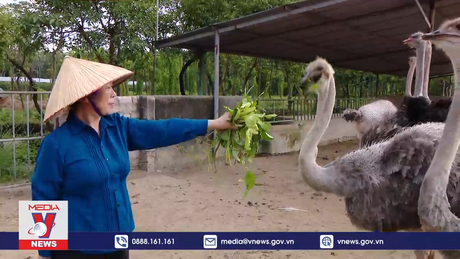 Hỗ trợ, nhân rộng mô hình hợp tác xã