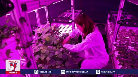 Mô hình canh tác trong không gian