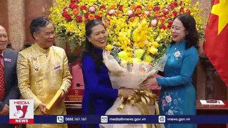 Phó Chủ tịch nước gặp mặt Hội Bảo vệ quyền trẻ em