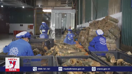 Thúc đẩy kinh doanh bền vững