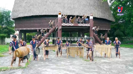 Phim tài liệu: Để Tây Nguyên xanh và phát triển bền vững