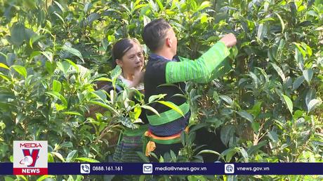 Phát huy vai trò bí thư chi bộ nơi vùng cao Yên Bái