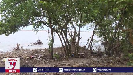 Cà Mau kiến nghị hỗ trợ khắc phục khẩn cấp sạt lở bờ biển