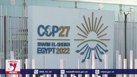 Thành quả chống biến đổi khí hậu của toàn cầu