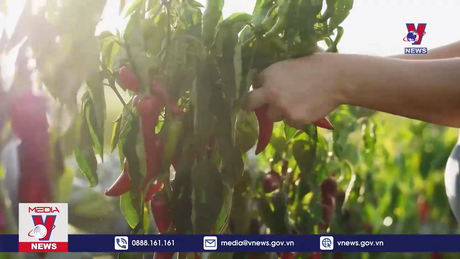 Đẩy nhanh quá trình chuyển đổi sang nền kinh tế xanh hơn