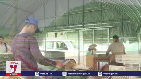 Nhật Bản đề xuất thay đổi chương trình thực tập sinh nước ngoài