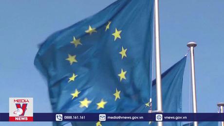 EU dự định thành lập lực lượng phòng thủ không gian mạng châu Âu