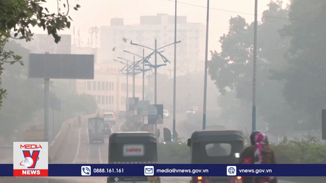 Hiệu ứng “cocktail” của tình trạng ô nhiễm môi trường