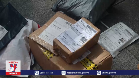 Phát triển thương mại điện tử Việt Nam bền vững