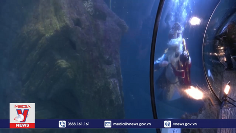 Giáng Sinh đến sớm với thủy cung ở Đức