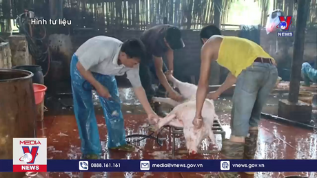 Hà Nội xử phạt hơn 2,3 tỷ đồng liên quan đến an toàn thực phẩm