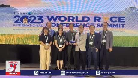 Gạo Việt Nam ngon nhất thế giới