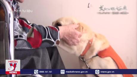 Nuôi chó có thể giúp giảm nguy cơ mất trí nhớ ở người cao tuổi