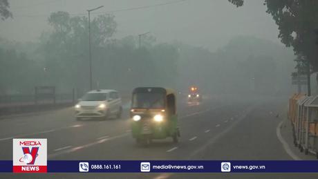 Ô nhiễm không khí ở thủ đô New Delhi của Ấn Độ