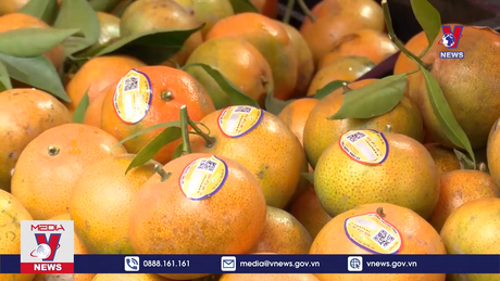 Bản tin thời sự 17h ngày 02/12/2023