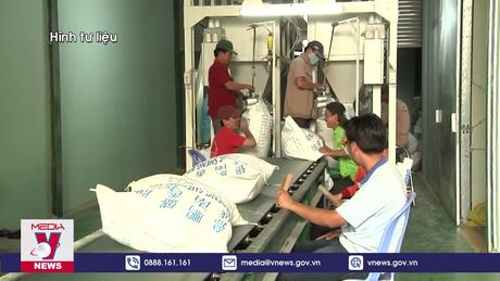 Việt Nam tổ chức Festival lúa gạo quốc tế tại Hậu Giang