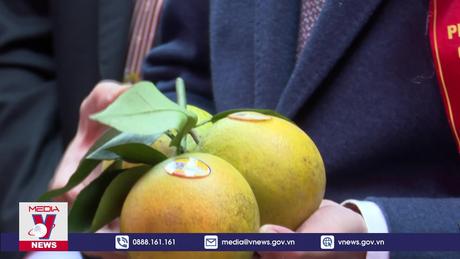 Khai mạc phiên chợ cam Hưng Yên