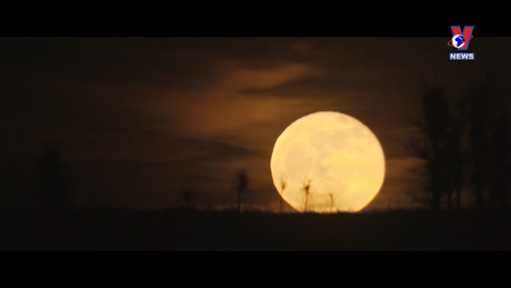 Văn hóa toàn cảnh ngày 02/12/2023