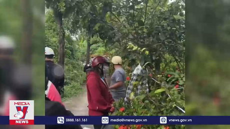 Cà Mau điều tra nguyên nhân khiến ba người tử vong