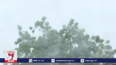 Ấn Độ sơ tán hàng nghìn người trước bão Michaung