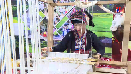 Bản tin tiếng Trung ngày 05/12/2023